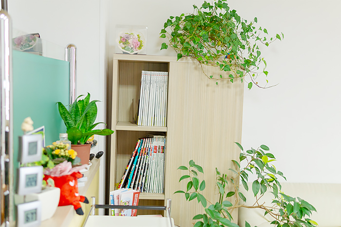 観葉植物と雑誌